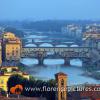 Bridges over Arno river