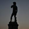 Silhouette of David