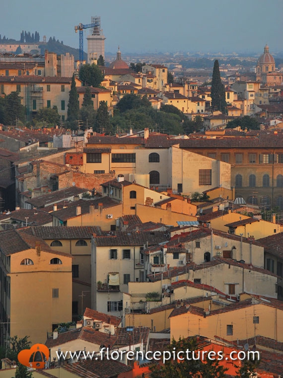 View over Florence