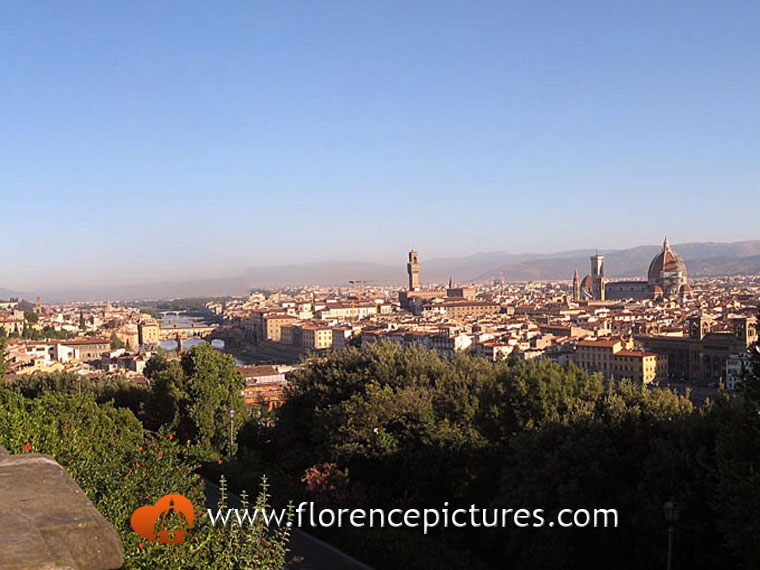 Panoramic View