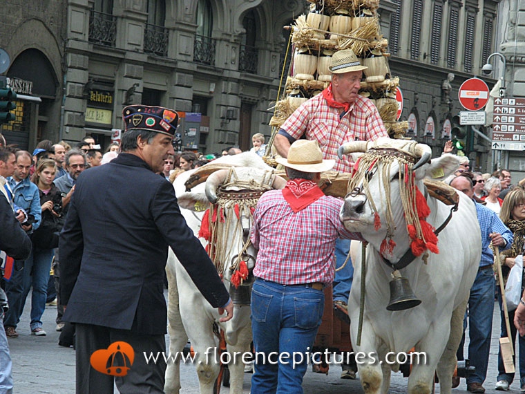Carro Matto from Rufina