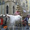 Carro matto from Rufina
