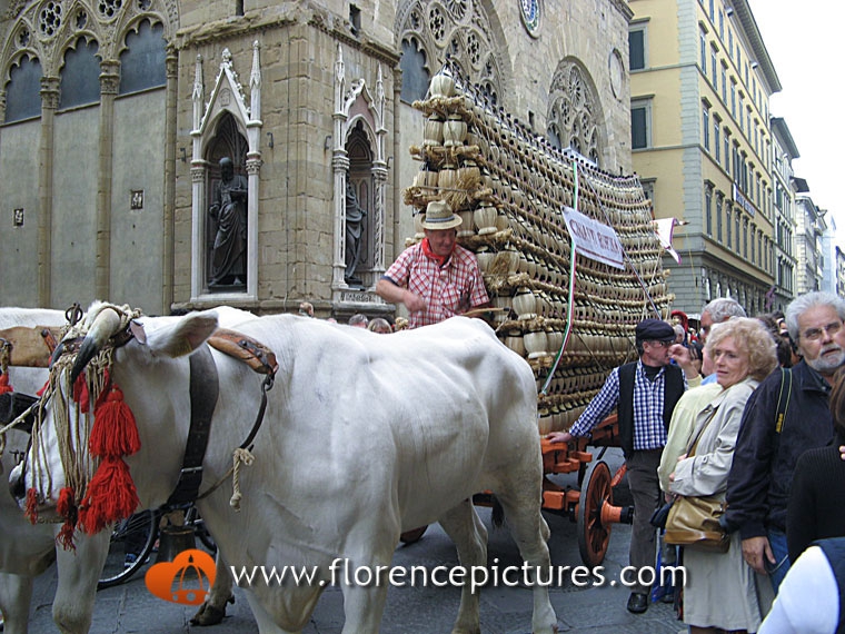 Carro Matto from Rufina