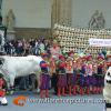 Carro Matto from Rufina