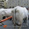 Carro Matto from Rufina