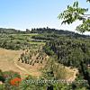 Fiesole