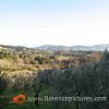 Fiesole