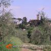 Settignano