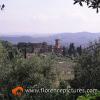 Settignano