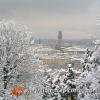 Snowy view of downtown Florence