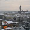 Snowy Florence