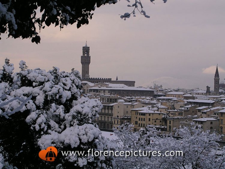 View of downtown Florence