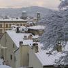 Florence under the snow