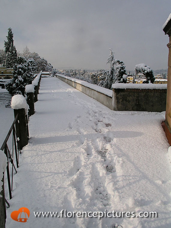 SAn Miniato Cemetery