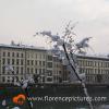 Snow on the trees
