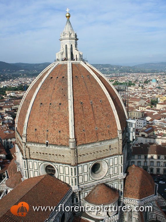 View of the Cupola