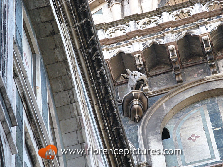 The bull on the cathedral