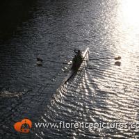 Rowers in Arno