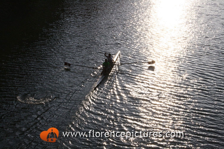 Rowers in Arno