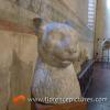 Fondazione Romano Museum
