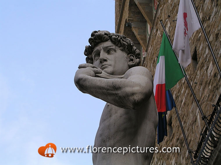Michelangelo's David