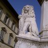 piazza-santa-croce_detail_04