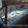 Museo Horne