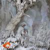 Grotta di Buontalenti