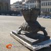 Piazza Pitti