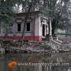 Museo Stibbert