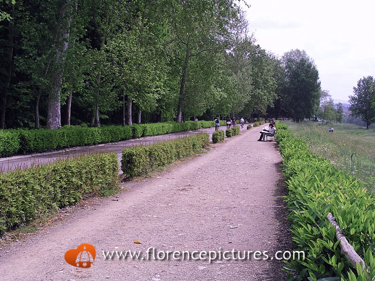 Cascine and Renai Parks