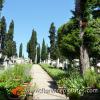 English Cemetery in Florence
