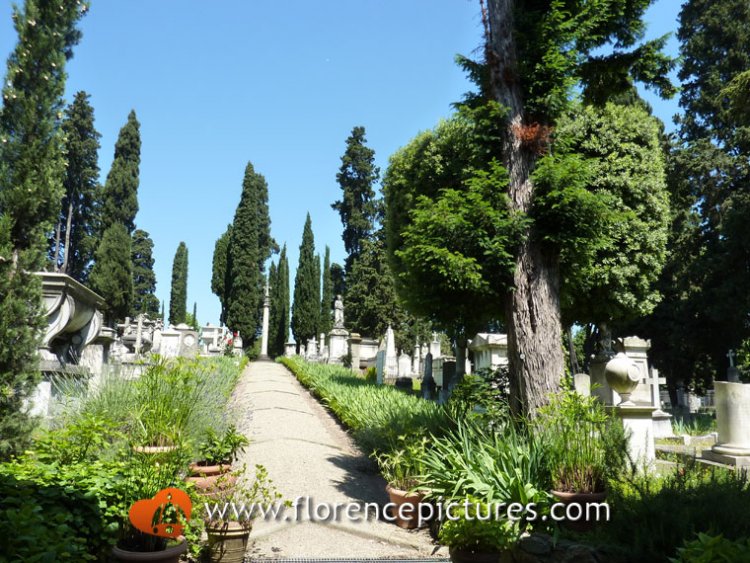 English Cemetery in Florence