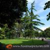 Fortezza da Basso