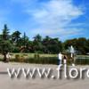 Fortezza da Basso