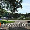 Fortezza da Basso