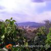 pian_de-giullari_02