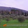 Villamagna