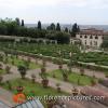 The Renaissance garden
