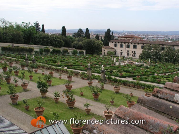 The Renaissance garden