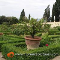 Gardens of Villa La Petraia