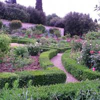 Garden of Villa La Petraia