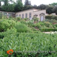 Garden of Villa La Petraia