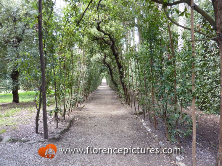 Boboli Gardens in Florence